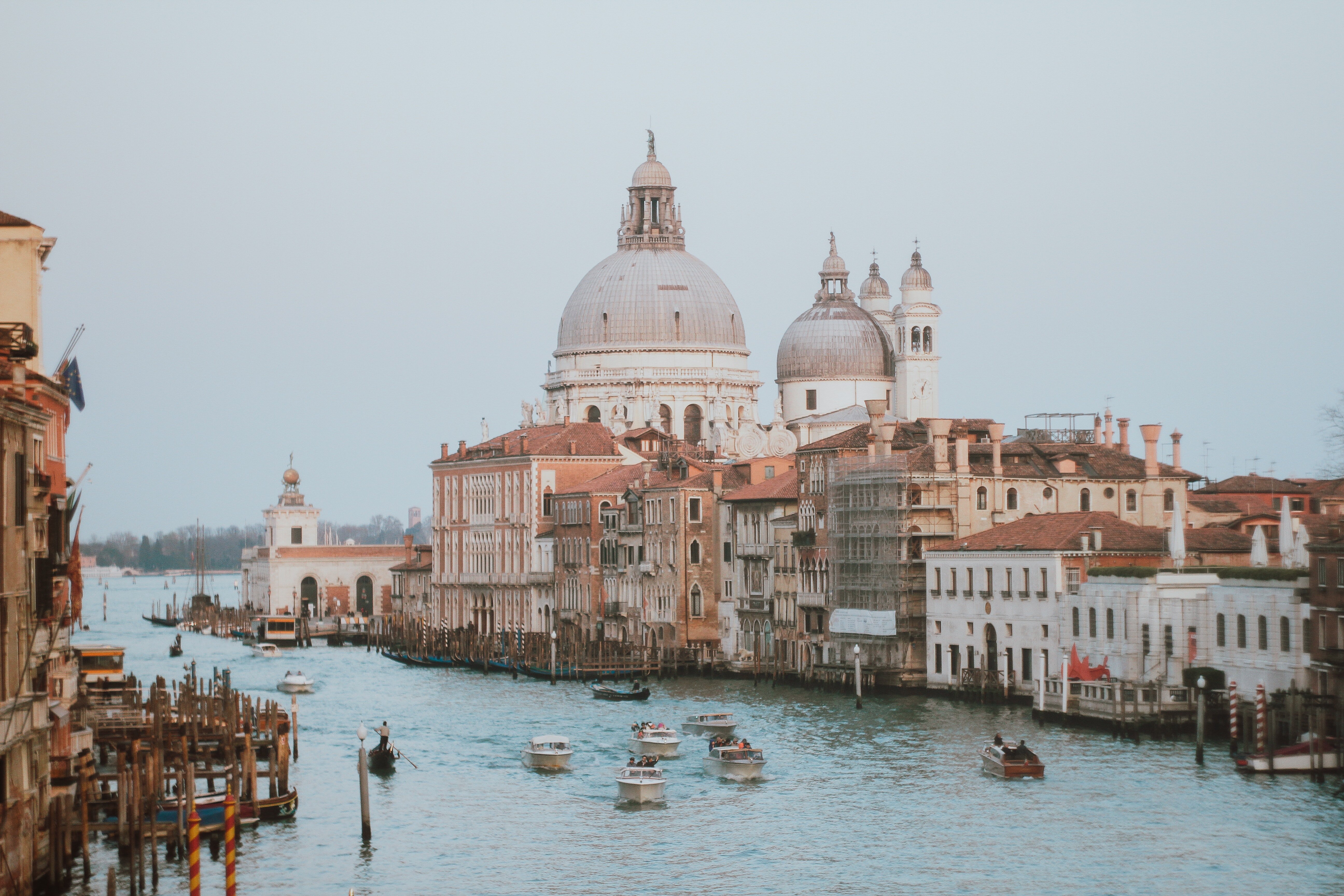 MiCROTEC Venice