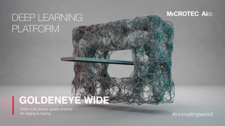 Powered by MiCROTEC Ai