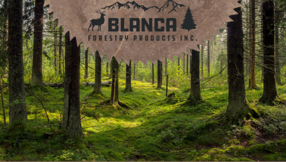 Lucidyne Scanner: Blanca Forestry Products – MiCROTEC Stands Out