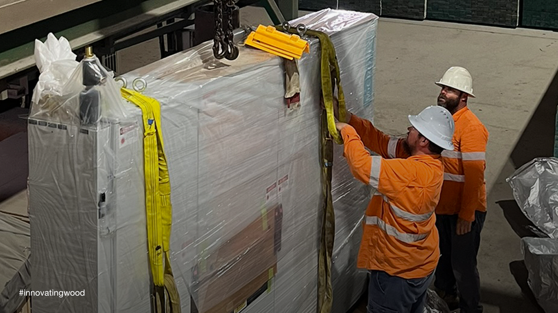Lucidyne: Hyne Timber Choosing Again