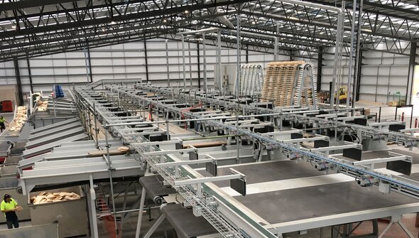 Goldeneye: Cross-cut and finger-jointing line in New Zealand