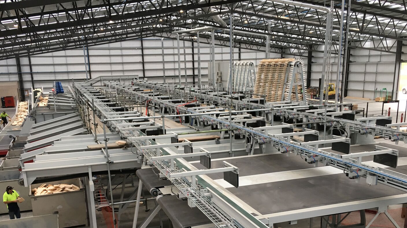 Goldeneye: Cross-cut and finger-jointing line in New Zealand
